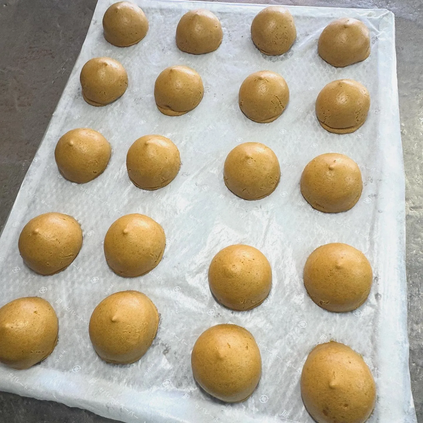 こんにちは、ゑびすや本店です🍡