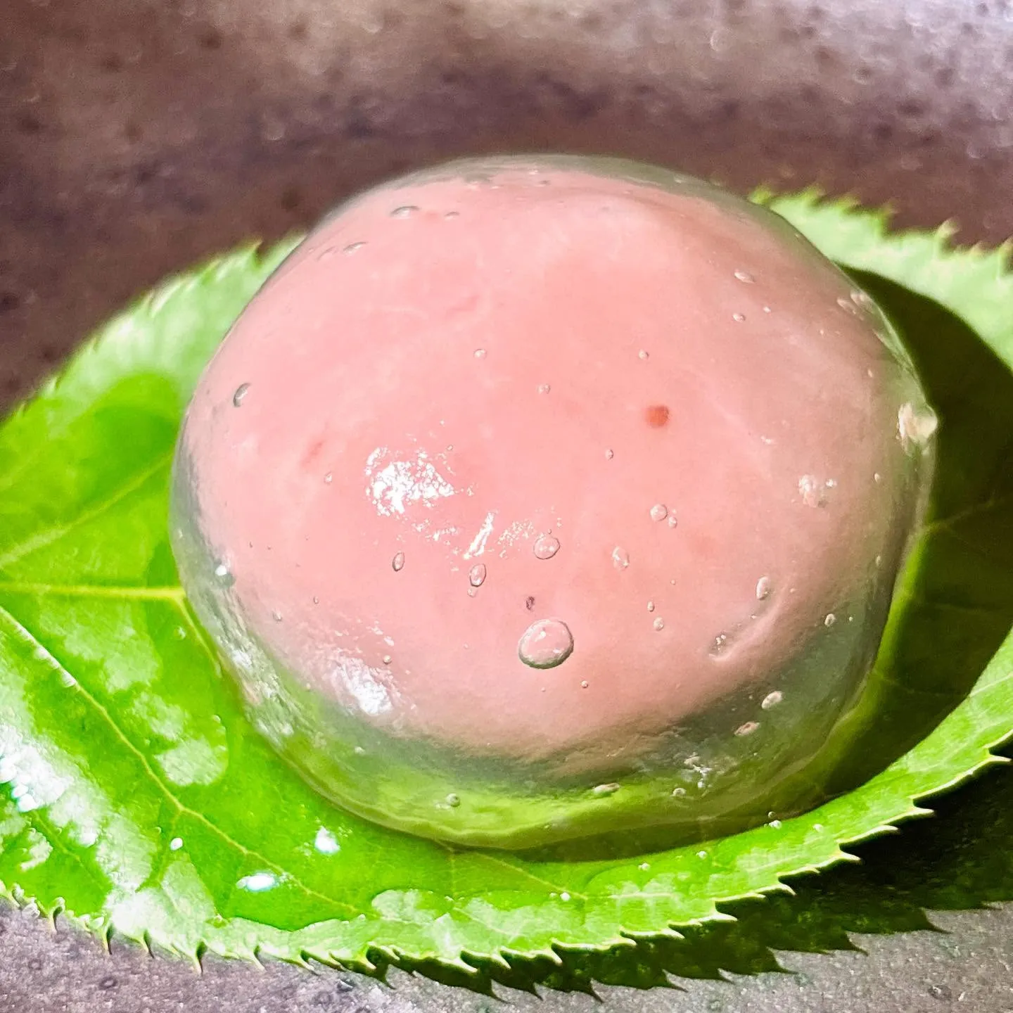 こんにちは、ゑびすや本店です🫧