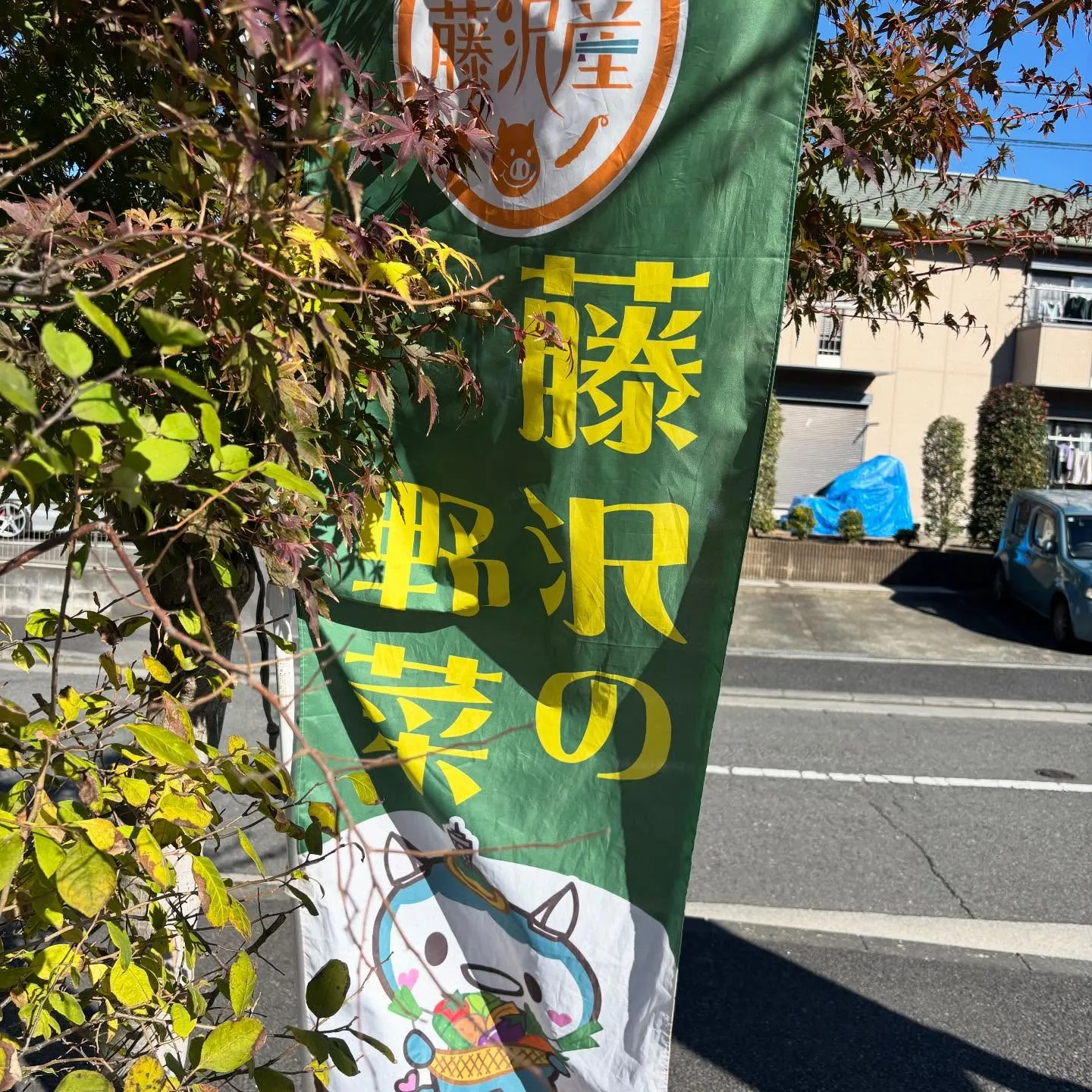 先週土曜日のごしょみ〜な♪