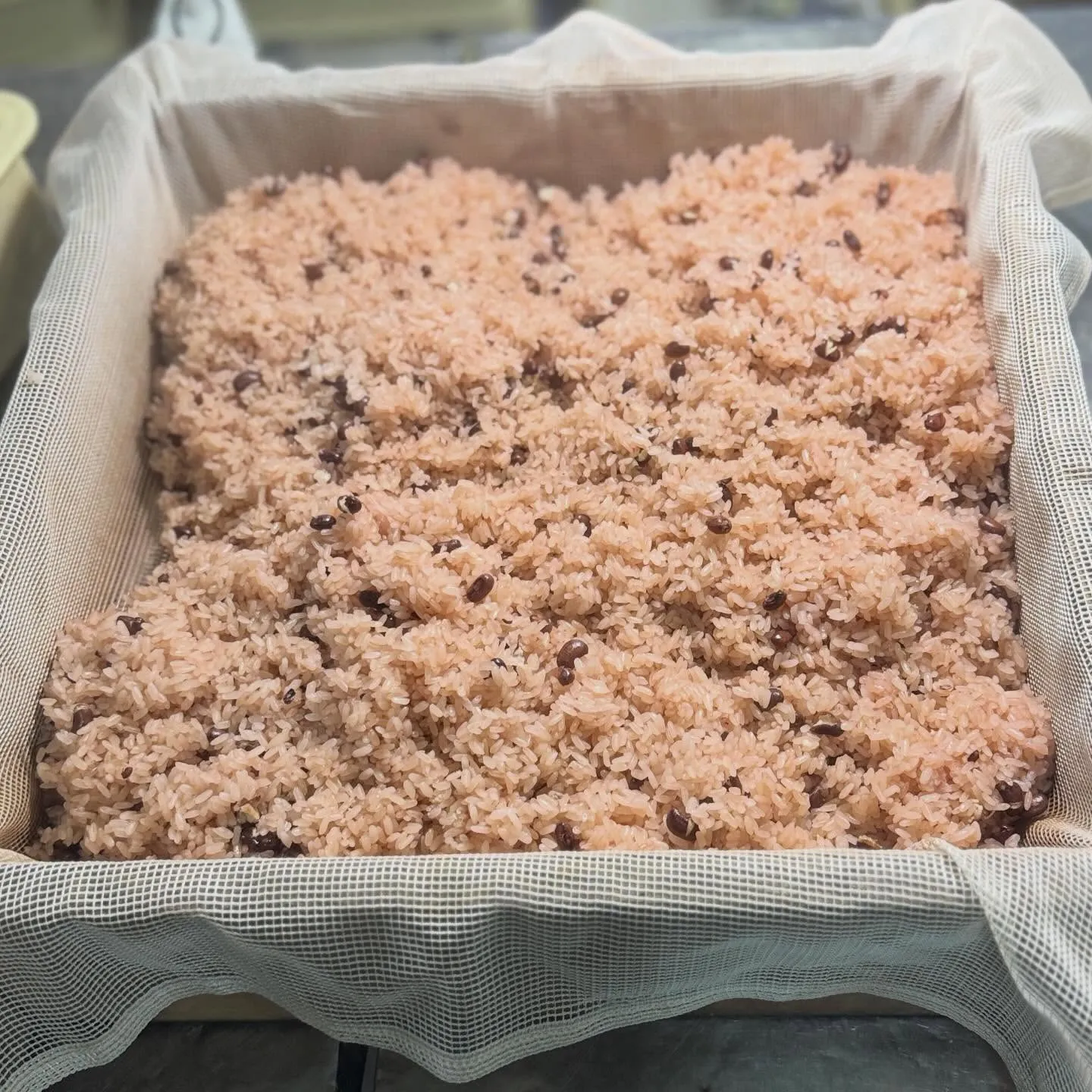 🫘..:お赤飯..:🫘