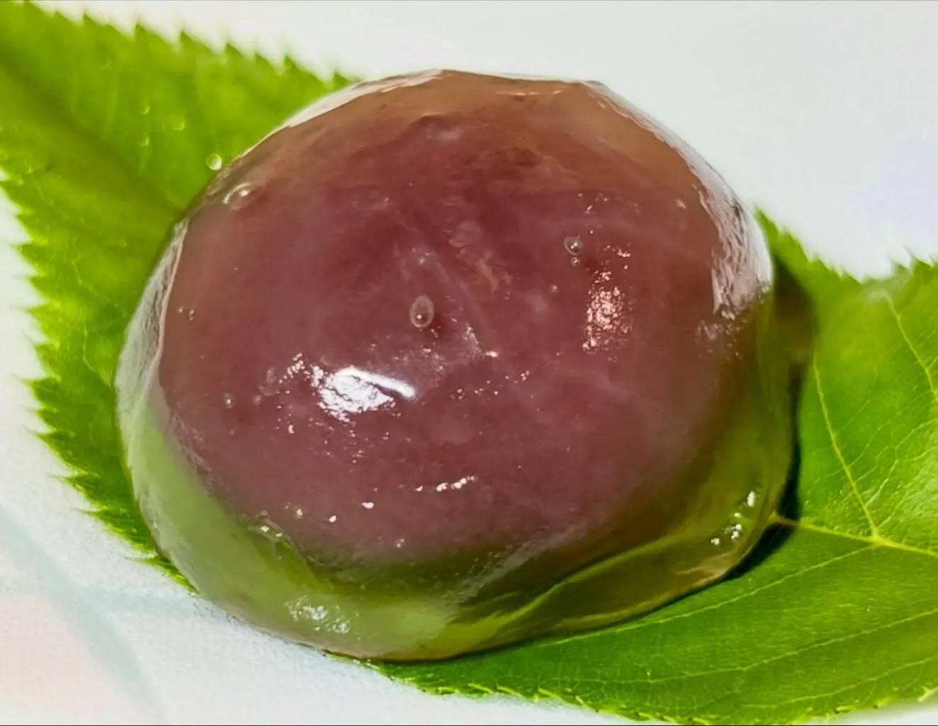 水まんじゅうの販売がスタートしています🫧
